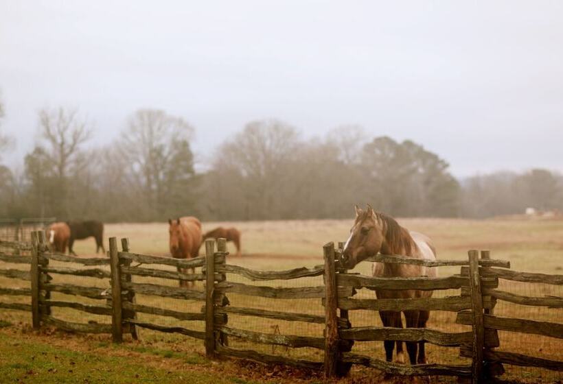 Bed and Breakfast Seventy Four Ranch