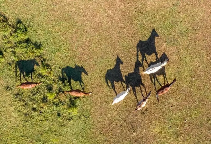 Aamiaismajoitus (B&B) Seventy Four Ranch