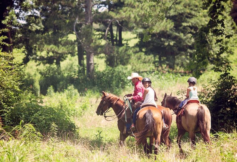 Bed and Breakfast Seventy Four Ranch