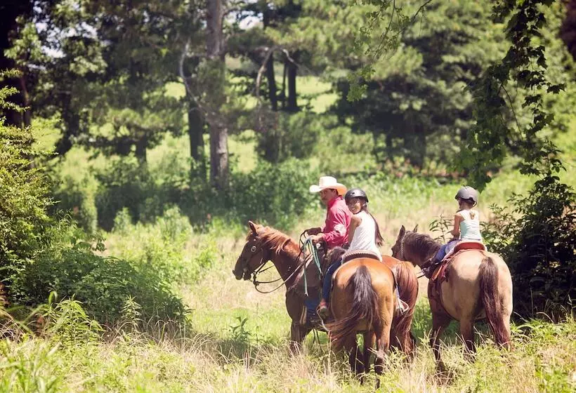 Aamiaismajoitus (B&B) Seventy Four Ranch