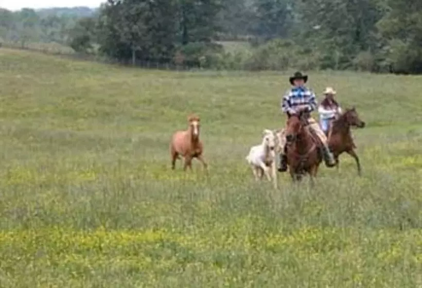 Aamiaismajoitus (B&B) Seventy Four Ranch