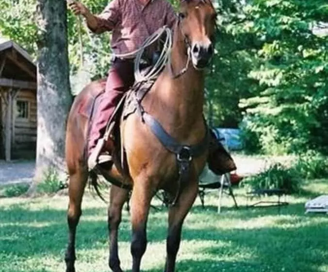 Aamiaismajoitus (B&B) Seventy Four Ranch