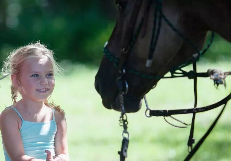 Aamiaismajoitus (B&B) Seventy Four Ranch