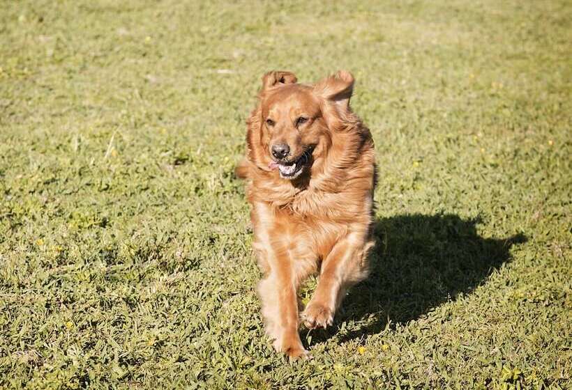 Bed and Breakfast Seventy Four Ranch