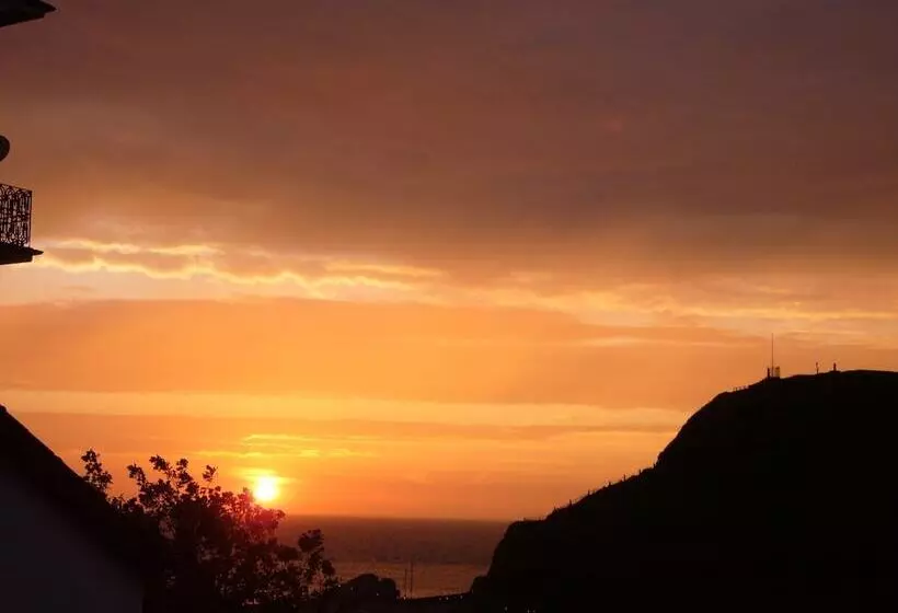 Bed and Breakfast The Olive Branch