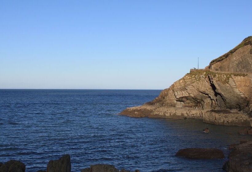 Bed and Breakfast The Olive Branch