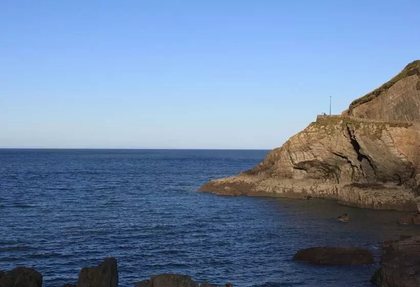 Bed and Breakfast The Olive Branch