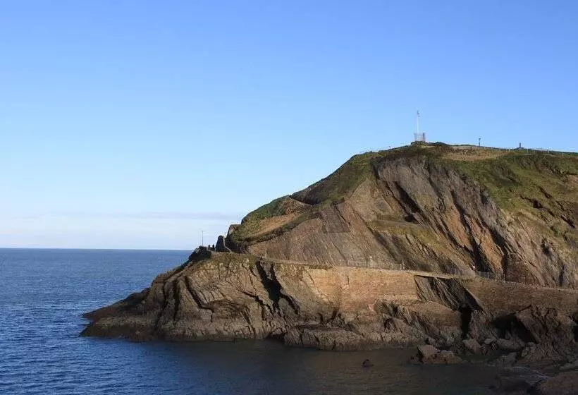 Bed and Breakfast The Olive Branch