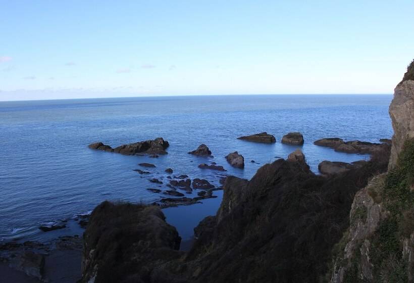 Bed and Breakfast The Olive Branch