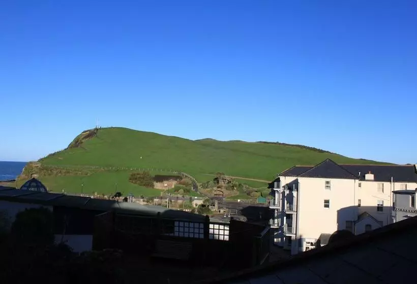 Bed and Breakfast The Olive Branch