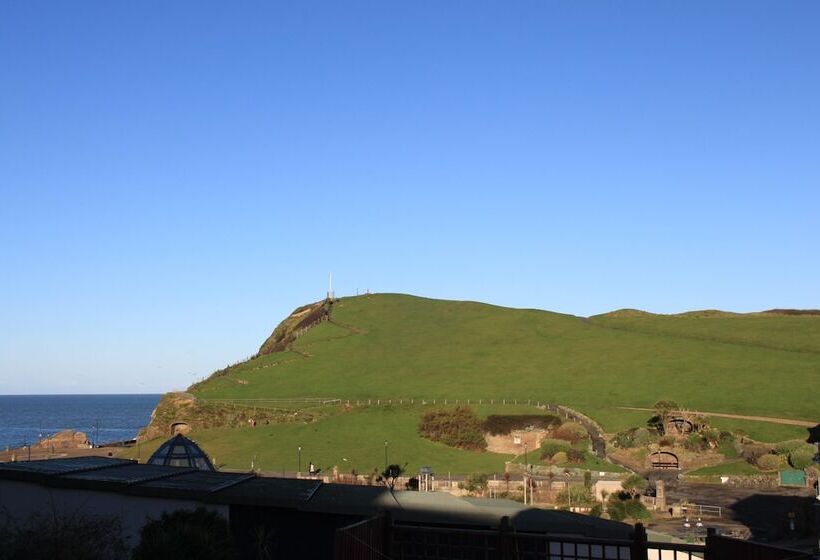 Bed and Breakfast The Olive Branch