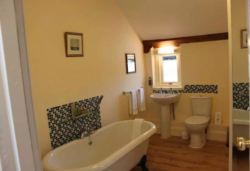 Bed and Breakfast The Olive Branch