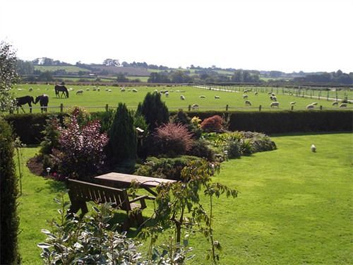 مبيت وإفطار Thornton Lodge Farm