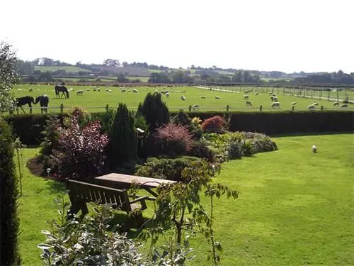 ベッドアンドブレックファースト Thornton Lodge Farm