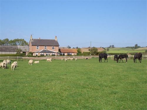 مبيت وإفطار Thornton Lodge Farm