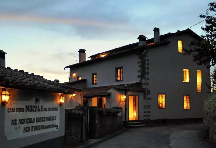 Отель Agriturismo Borgo Mocale