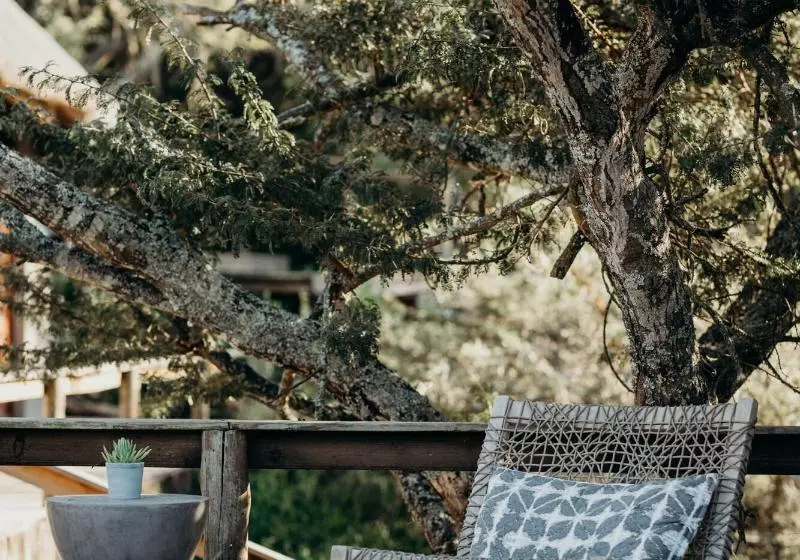 호텔 Bukela Game Lodge Amakhala Game Reserve