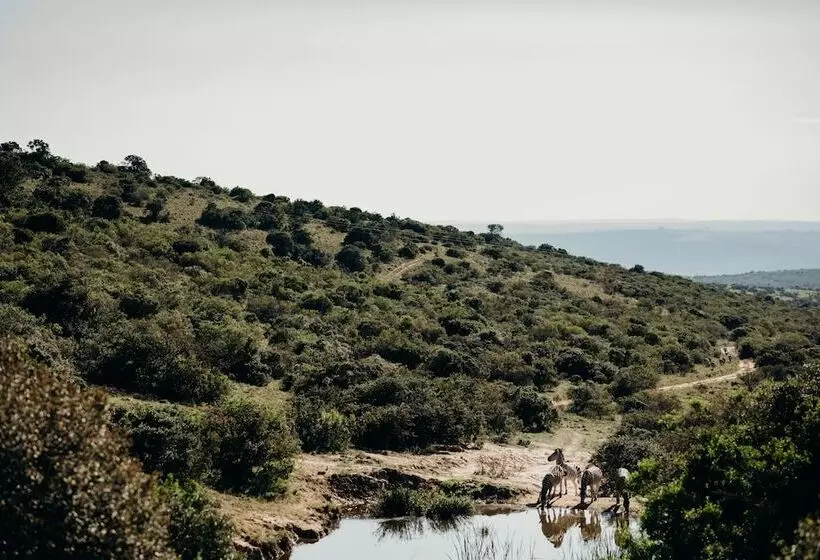 호텔 Bukela Game Lodge Amakhala Game Reserve
