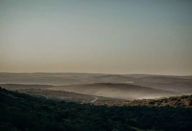 호텔 Bukela Game Lodge Amakhala Game Reserve