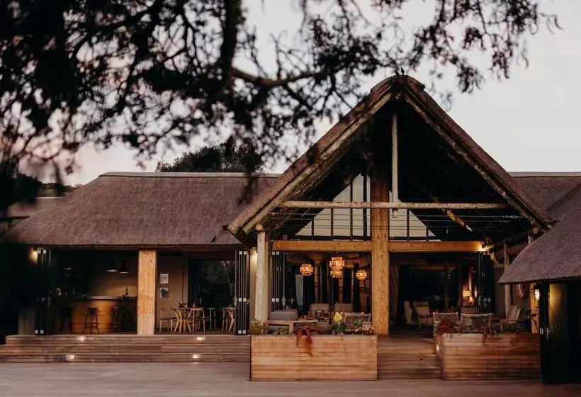 호텔 Bukela Game Lodge Amakhala Game Reserve