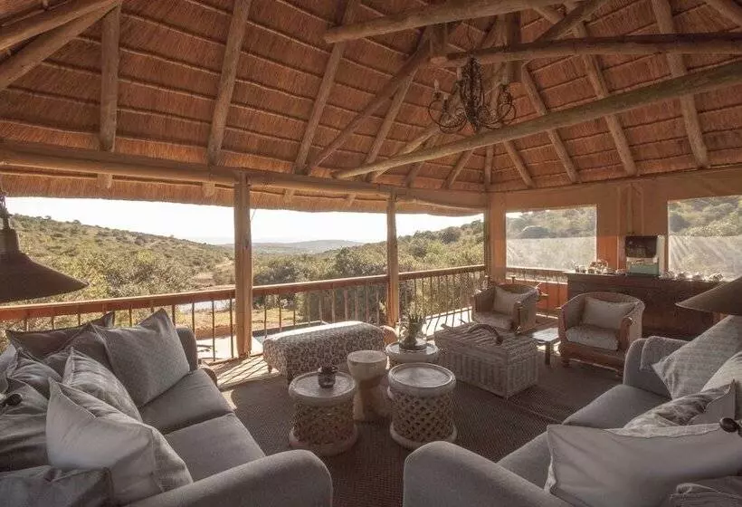 호텔 Bukela Game Lodge Amakhala Game Reserve