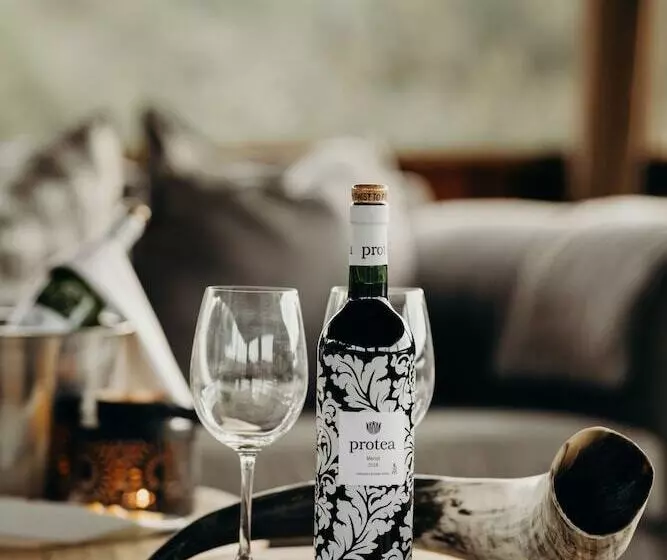 호텔 Bukela Game Lodge Amakhala Game Reserve