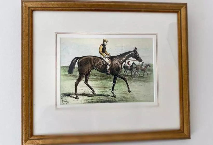 Отель The Horse And Jockey