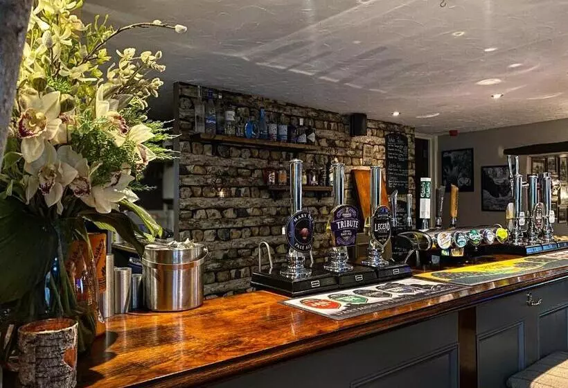 Отель The Mary Tavy Inn