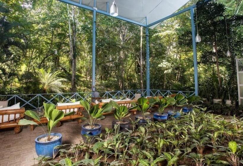 בית מלון כפרי Plaza Yara