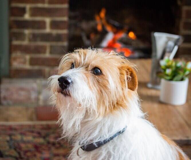 فندق The Cricketers Inn