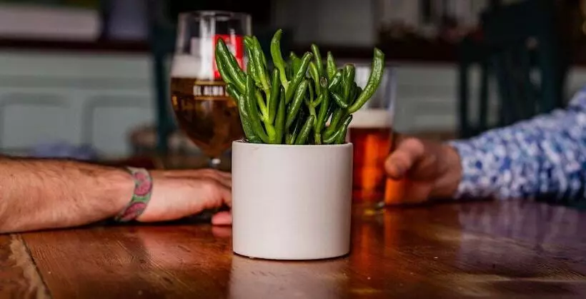 Отель The Cricketers Inn