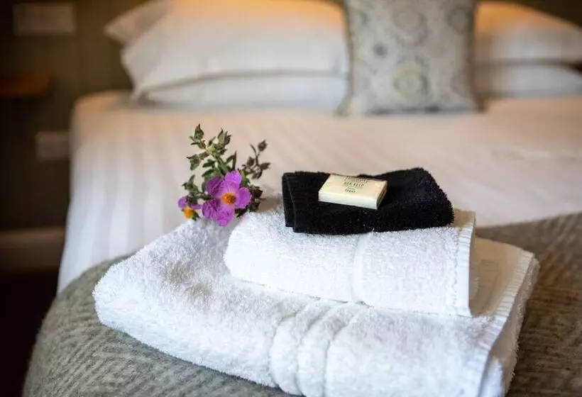 酒店 The Durant Arms