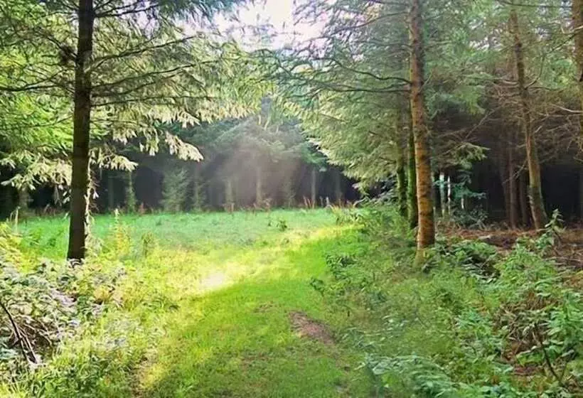 Lobhill Farmhouse Bed And Breakfast And Self Catering Accommodation