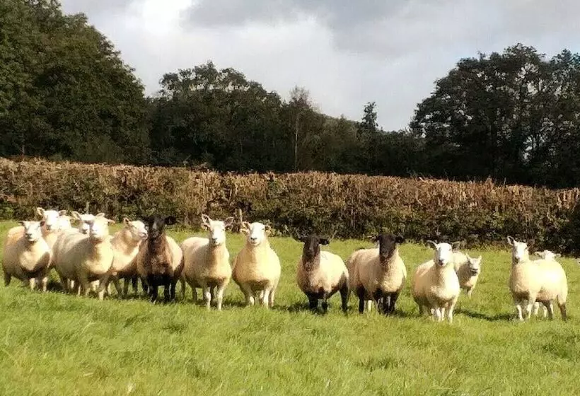 Lobhill Farmhouse Bed And Breakfast And Self Catering Accommodation