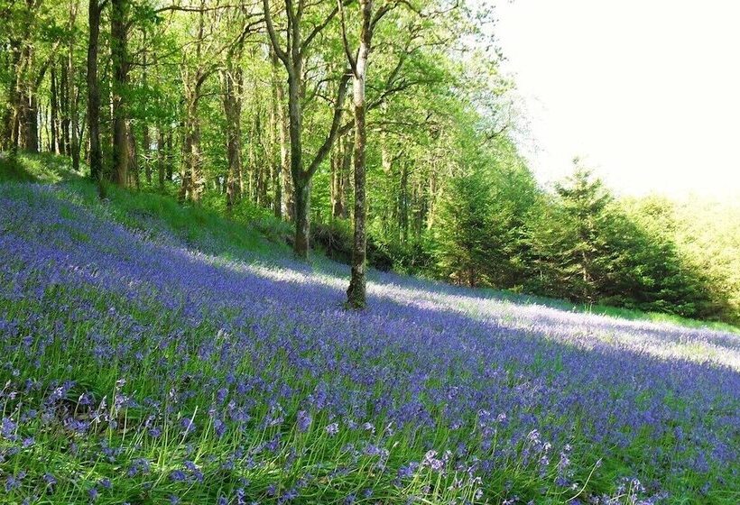 Lobhill Farmhouse Bed And Breakfast And Self Catering Accommodation