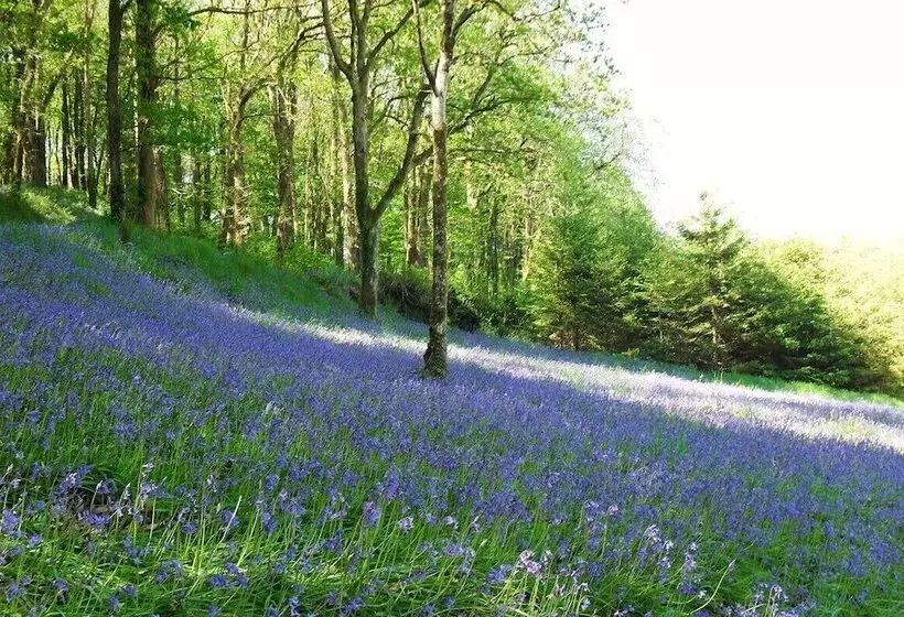 Lobhill Farmhouse Bed And Breakfast And Self Catering Accommodation