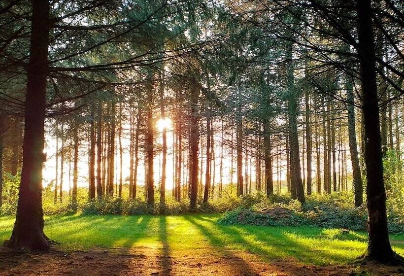 Lobhill Farmhouse Bed And Breakfast And Self Catering Accommodation