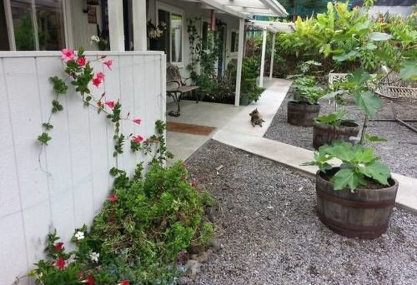 צימר Mango Sunset Bnb Inn At Lyman Organic Kona Coffee Farms