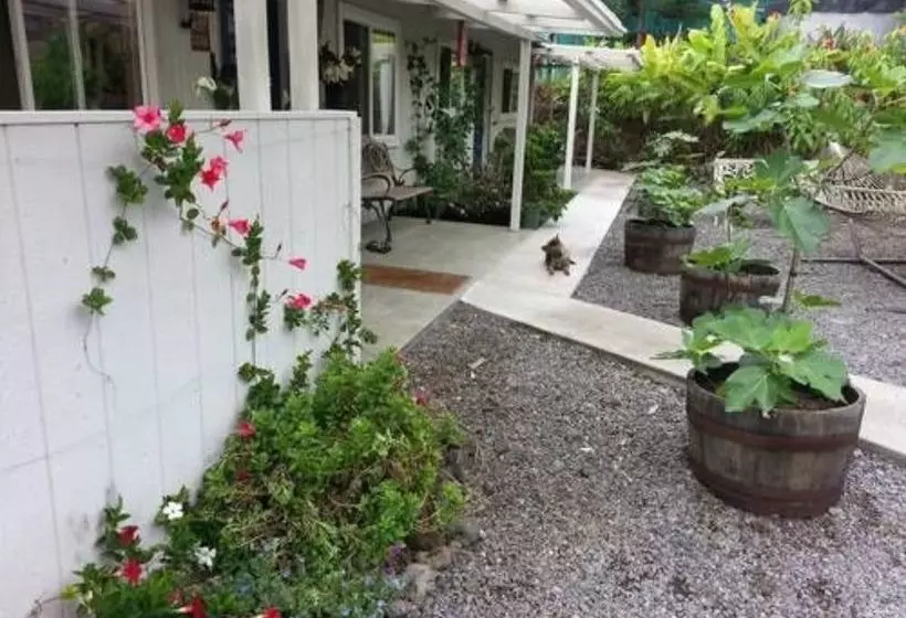 Bed and Breakfast Mango Sunset Bnb Inn At Lyman Organic Kona Coffee Farms