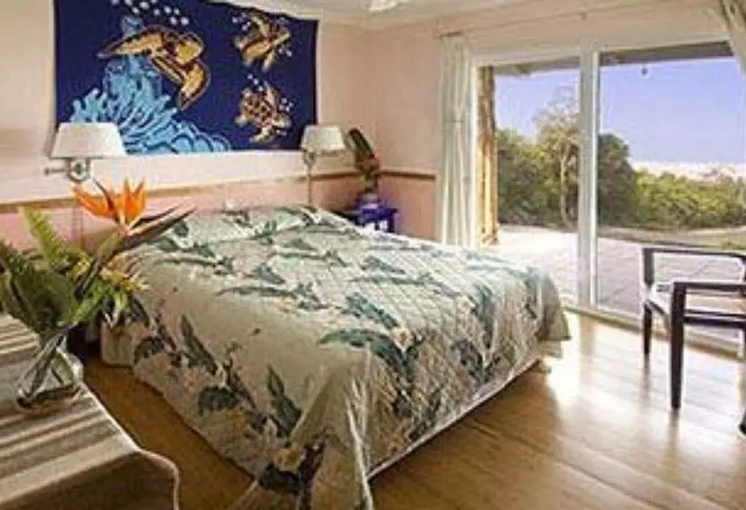 Bed and Breakfast Mango Sunset Bnb Inn At Lyman Organic Kona Coffee Farms