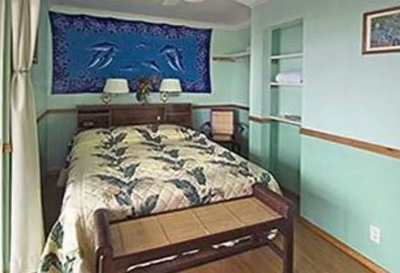 Bed and Breakfast Mango Sunset Bnb Inn At Lyman Organic Kona Coffee Farms