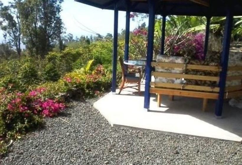 צימר Mango Sunset Bnb Inn At Lyman Organic Kona Coffee Farms