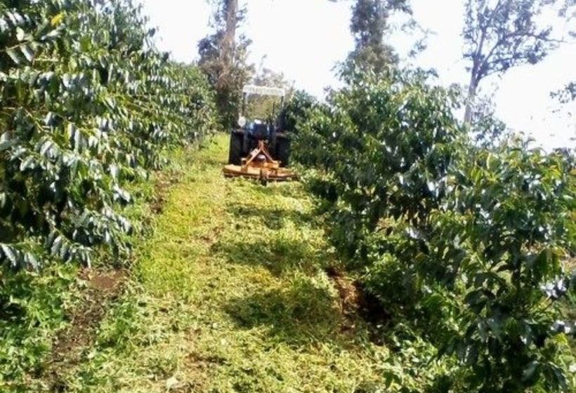 צימר Mango Sunset Bnb Inn At Lyman Organic Kona Coffee Farms