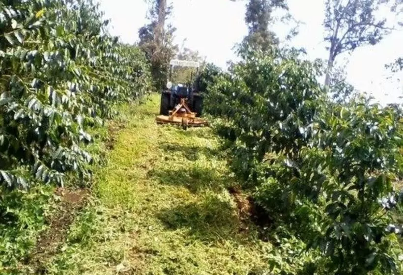 Bed and Breakfast Mango Sunset Bnb Inn At Lyman Organic Kona Coffee Farms