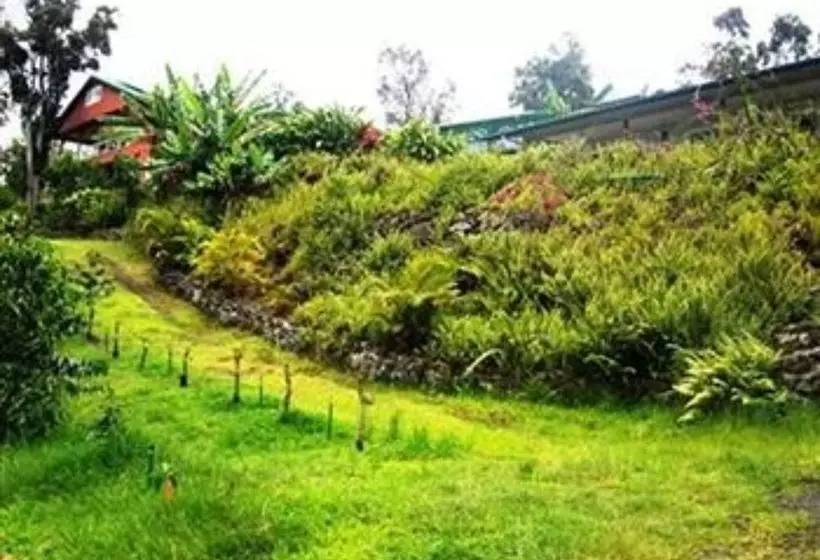 Bed and Breakfast Mango Sunset Bnb Inn At Lyman Organic Kona Coffee Farms