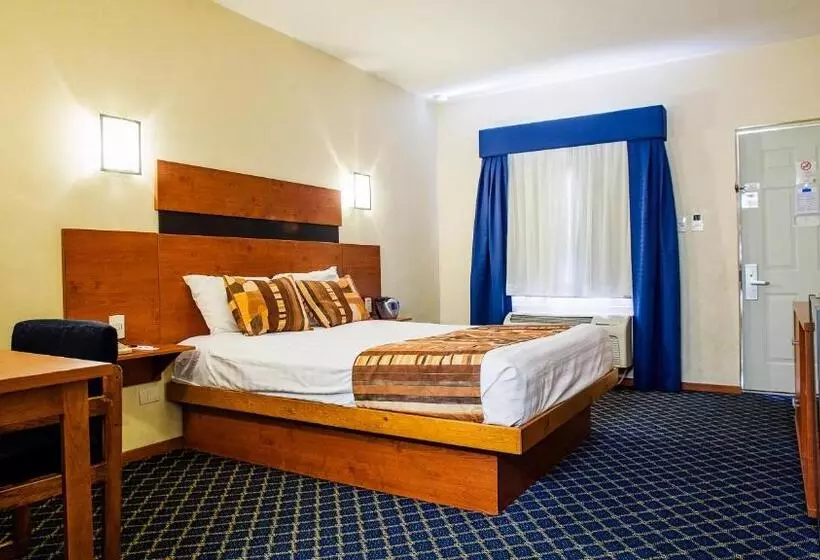 汽车旅馆  American Inn Hotel & Suites Delicias