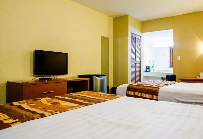 汽车旅馆  American Inn Hotel & Suites Delicias