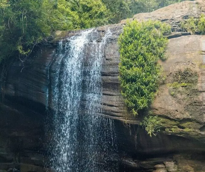 Newport Mooloolaba Apartments