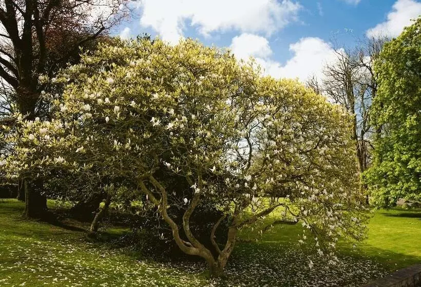 ペンション Portclew House