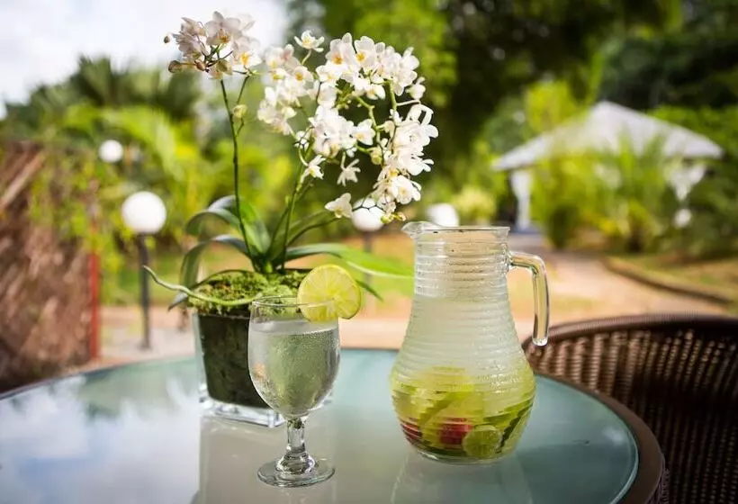 Resort Royal Torarica